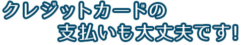 クレジットカードの支払いも大丈夫!