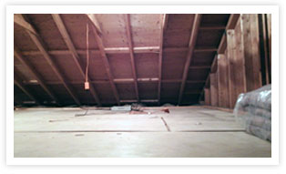 example_photo02